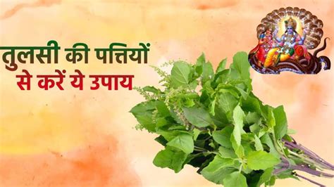 Guruvara Tulsi Upay .